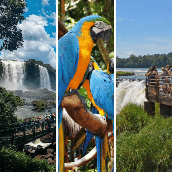 Premium Private Experience – Iguazu Falls (Brazil) & Bird Park